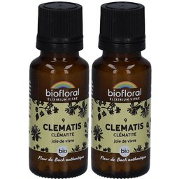 Clematis - Clématite - Bio