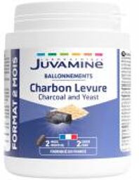 Charbon Levure 120 Gélules - Pot 120 gélules