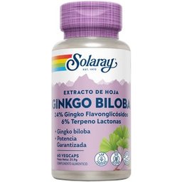 Ginkgo Biloba Extrait 60 Mg 60 Capsules 60 Capsules