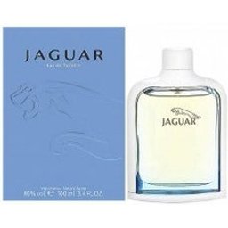 Eau De Toilette Hommes Vaporisateur 100ml