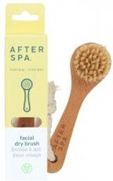Brosse Sèche Visage - Boîte 1 brosse