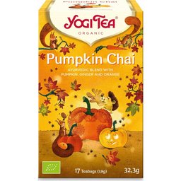 Infusion Pumpkin Chai Bio 17 Sachets