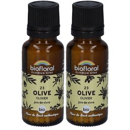 23 Olive - Olivier