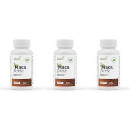 Maca Forte bio