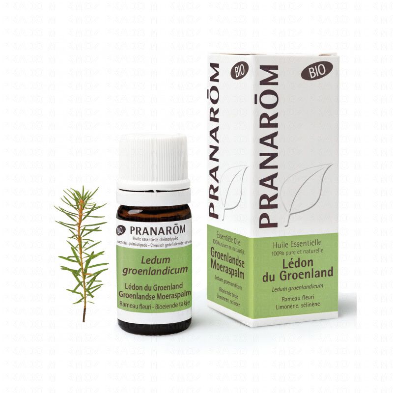 Huile essentielle Ledon du Groenland bio flacon 5ml