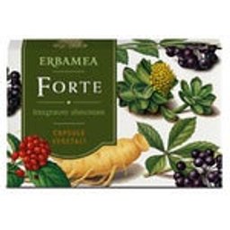 Forte 24caps