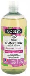 Shampoing Détox Fraîcheur Cheveux à Tendance Grasse Bio 500 ml - Flacon