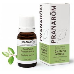 Pranarôm Huile Essentielle Gaulthérie Odorante Bio 10ml