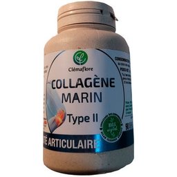 Collagène Marin Type II 90 Gélules