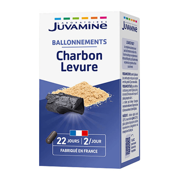 Gaz Intestinaux Charbon Levure 45 gélules