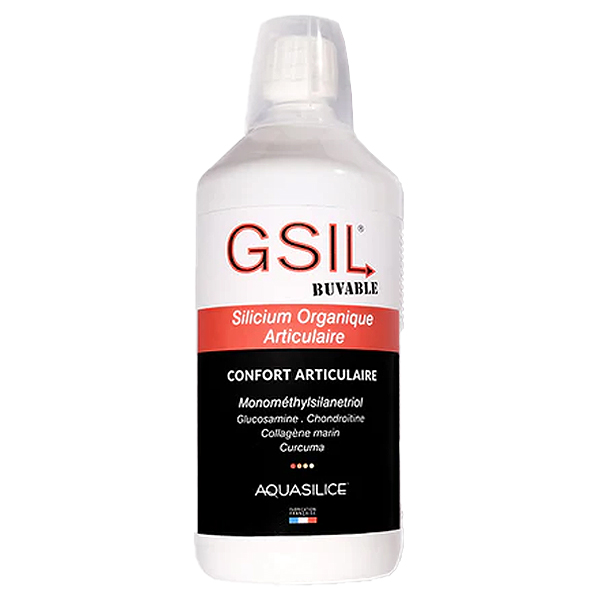 GSIL Monomethyl Articulaire Solution Buvable 1L