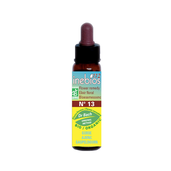 Fleur de Bach n°13 Gorse - Ajonc Bio 10ml