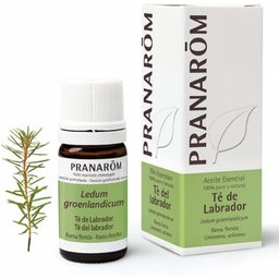Pranarôm Huile Essentielle Lédon du Groenland 5ml
