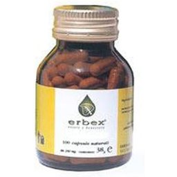 Fenouil 380mg 100caps