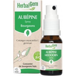 Spray Aubépine 15ml