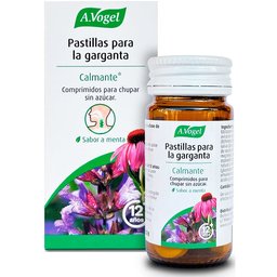 Pastilles Pour La Gorge À La Menthe 20 Comprimés