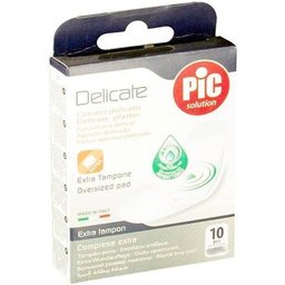 Plâtre - Pic Délicat 40X86 Antib