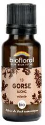 Granules 13 Gorse - Ajonc Bio 19,5 g - Flacon 19,5 g