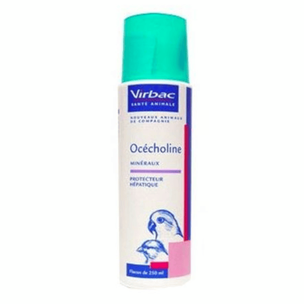 Ocecholine Solution Buvable 50ml
