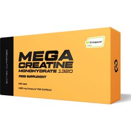 Mega Créatine Monohydrate 1320 120caps