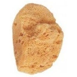 éponge de bain en éponge marine naturelle 1 pc