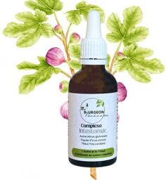 Complexe Intestomac - Bourgeons d'Aulne, de Figuier et de Tilleul - Gemmothérapie Flacon de 50ml