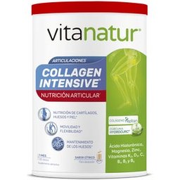 Collagène Intensif 360 G