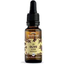 23 - Olive - Olivier - 20 ml
