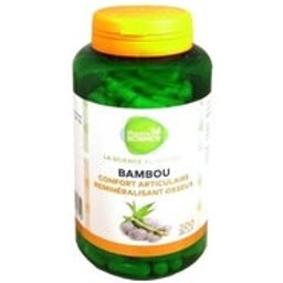 Bambou 200 gélules