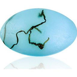 SavonGlycérine Spa 90g