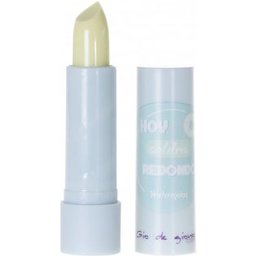 Baume Lèvres Stick Watermelon 1ut