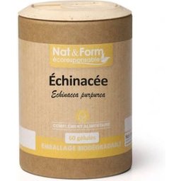 Eco Echinacea Gelveg60