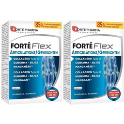 Forté Flex Articulations