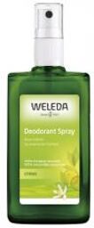 Déodorant Spray Citrus - 100 ml - Flacon pulvérisateur 100 ml