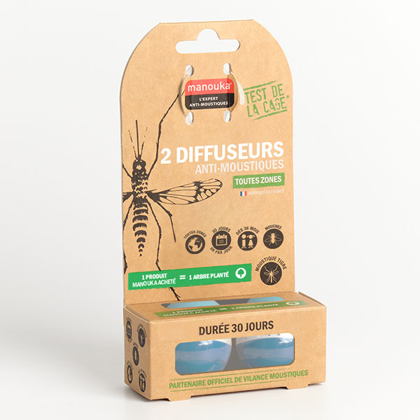 Double Boule Diffuseur Bleue