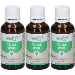 - Tilleul Bio - Complément Alimentaire - Extrait De Bourgeon Frais - Pour Sommeil & Détente