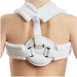 Anillo clavicular T2/enf