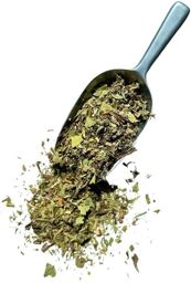 TISANE '''' mauvaises graisses dans le sang'''' de 500 g