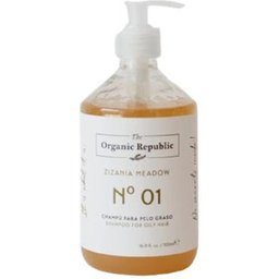 Champú para Pelo Graso Eco 500ml