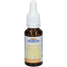 07 - Chestnut Bud - Bourgeons marronnier - 20 ml