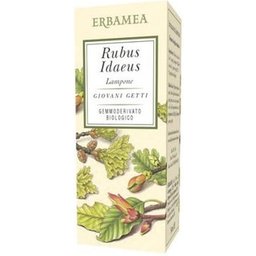 Rubus Idaeus Framboise Gemoderivat Bio 50ml