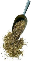 Tisane Chardon béni plante Cnicus benedictus.