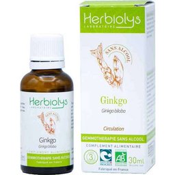Ginkgo Bio Gemmothérapie Sans Alcool 30ml