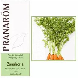 Pranarôm Huile Essentielle de Carotte 5ml
