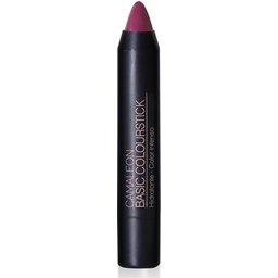 Camaleon Basic Colourstick N8 Aubergine 4g