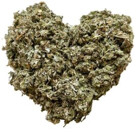 Tisane Artichaut feuille CT 1 KILO Cynara scolymus.