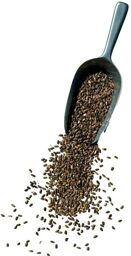 Tisane Chardon Marie semence 1 KILO ENTIERE Silybum marianum.