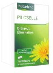 Piloselle 75 Végécapsules - Complément alimentaire à base de piloselle - Flacon 75 gélules