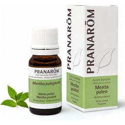 Pranarôm Huile Essentielle Menthe Pouliot 10ml