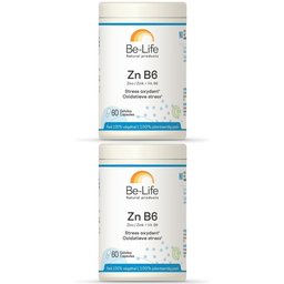 Zn-B6
